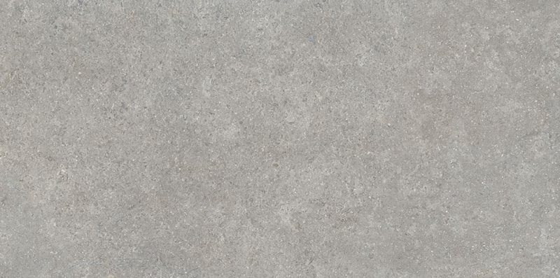 Плитка SandStone Серый Матовый R10A Ректификат 60X120