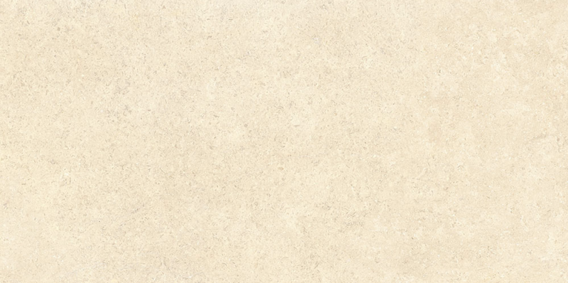 Плитка SandStone Песочный Матовый R10A Ректификат 60X120